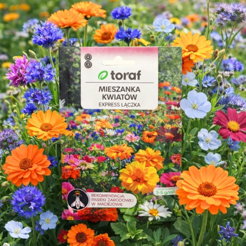 Łąka kwietna Mieszanka Kwiatów Express Łączka nasiona 20g TORAF sklep rajogrodnika